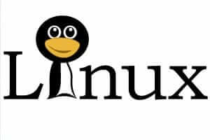 Embedded Linux: Learn Embedded Linux with Perfect Basics