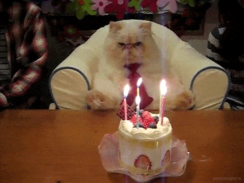 birthday The ones who are good at remembering dates