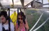 Cat Survives A Epic Flight Of Fancy