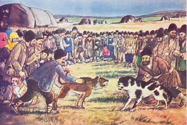 Dog Fighting Dog-Fighting