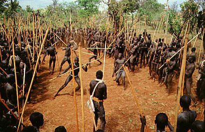 Nguni Stick Fighting Nguni Stick Fighting