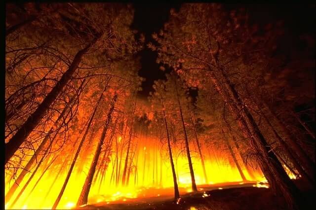 survival tips that can save your life 40 survival-tips-that-can-save-your-life-40