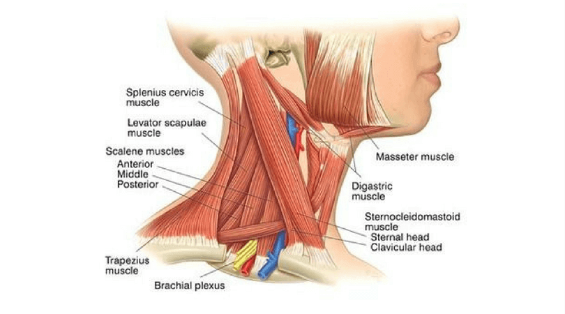 neck pain relief treatment