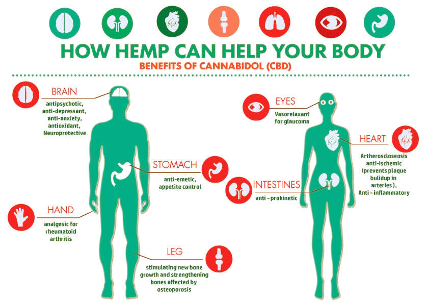 Complete Guide for CBD