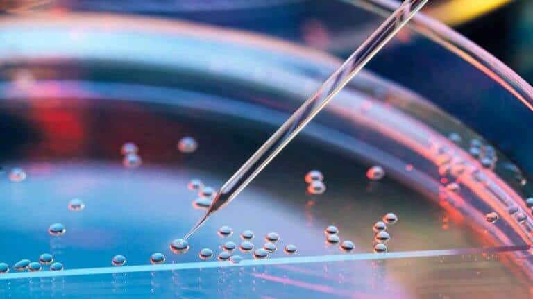 Stem Cell Treatment