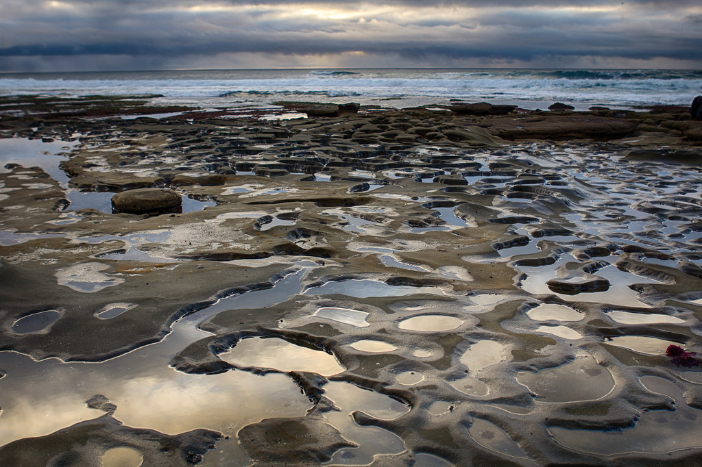 tide pools la jolla