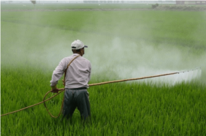 6 Facts About Paraquat And Its Long-Term Effects After Ingestion