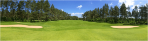 How to Easily Find Public Golf Courses