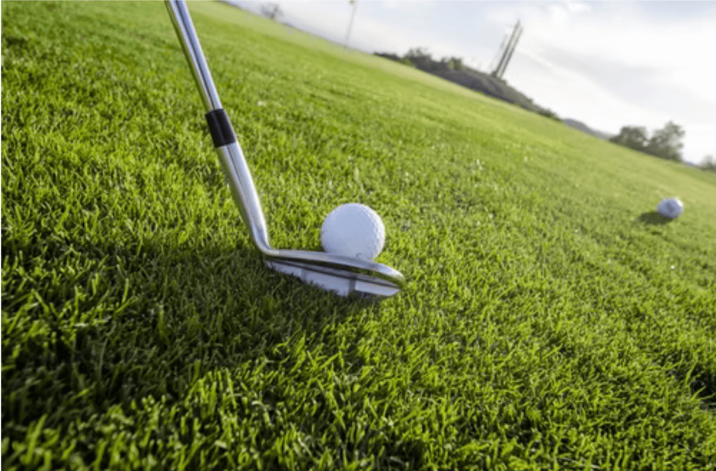 golf 1 golf 1