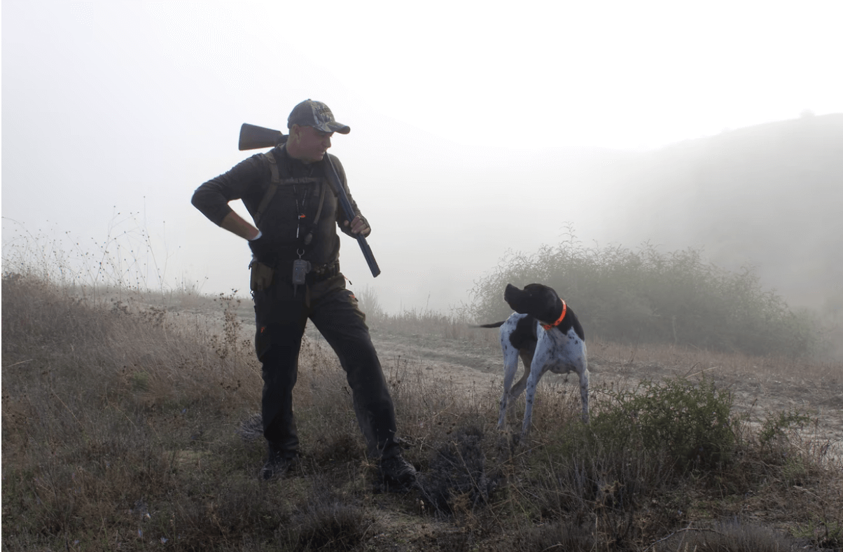 Useful Tricks That Will Help You Have An Amazing Hunting Trip