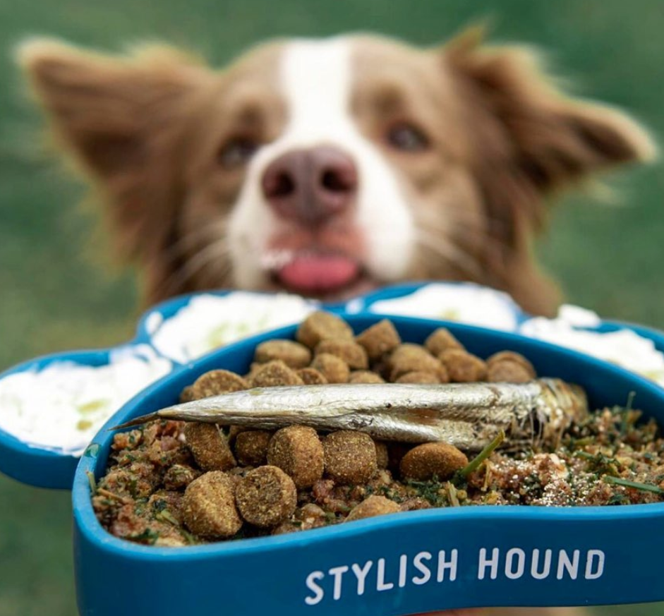 image 11 pet diet