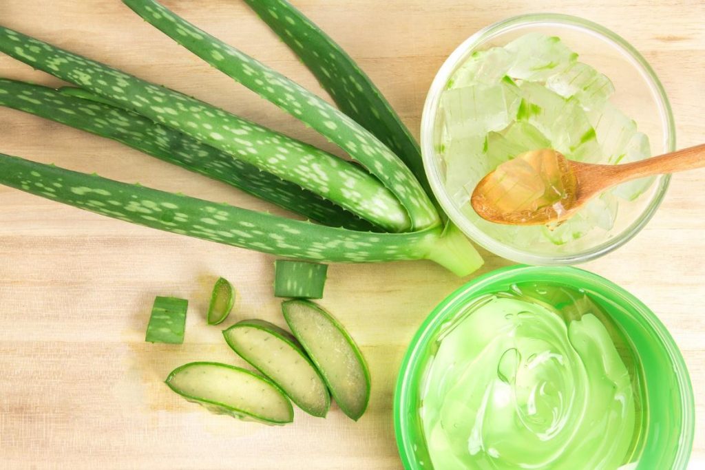 image 14 Aloe vera