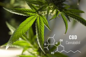Can Consuming CBD Capsules Help To Treat Anorexia?