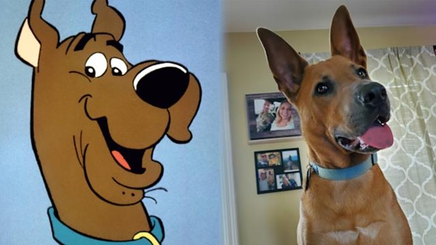 Scooby Doo Scooby-Doo