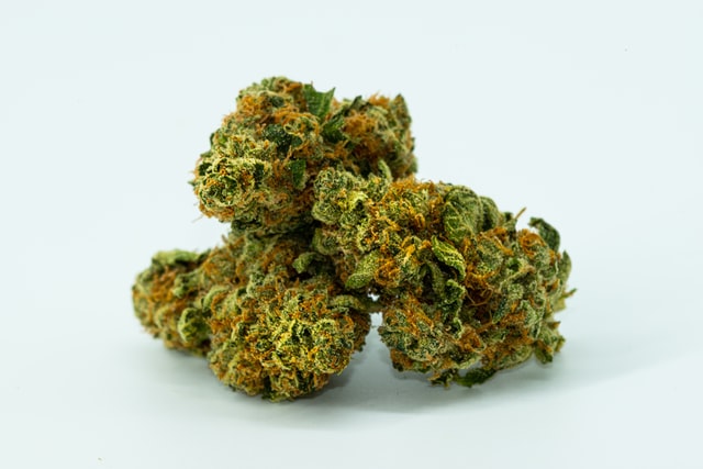 avery meeker 2rW8lq0NgPU unsplash cannabis