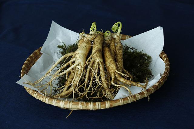 Ginseng a popular herbal supplement placed in a cane basket.