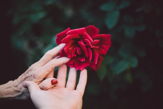 A young woman holding an old woman's hand.