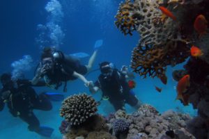Top Benefits of Scuba Diving That Will Convince You To Give It A Try