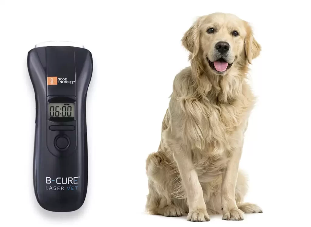 dog and device 3 1.jpg A dog and a laser on the side.