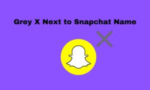 Grey-X-Next-to-Snapchat-Name