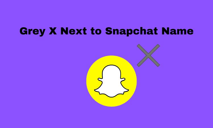 Grey X Next to Snapchat Name