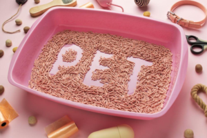 What Are The Reasons For Purchasing Breeders Choice Cat Litter? 
