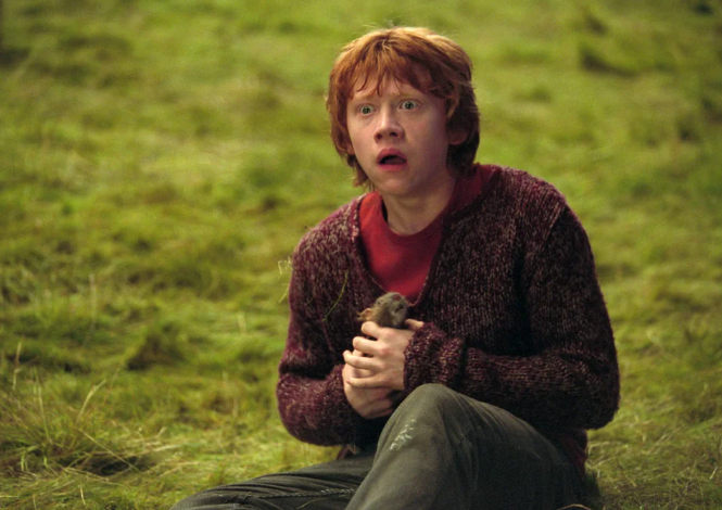 Ron Weasley - Harry Potter