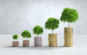 Grow Wealth