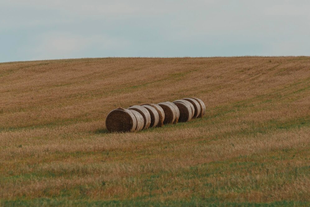 image Barrel Roll